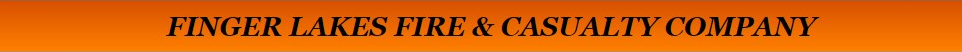Finger Lakes Fire & Casualty Company Banner